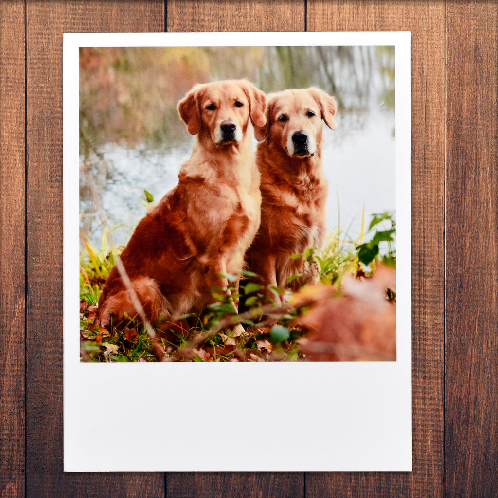 3.25" x 4" Instant Photo Style w/ Text & Envelope (Medium)